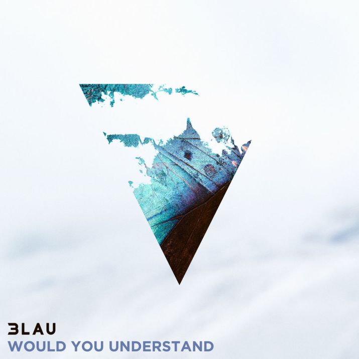 3lau - Would You Understand (feat. Carly Paige) [Electronic]