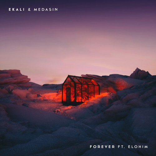 Ekali & Medasin - Forever ft. Elohim [Future Bass]