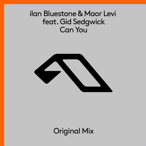 ilan Bluestone & Maor Levi - Can You