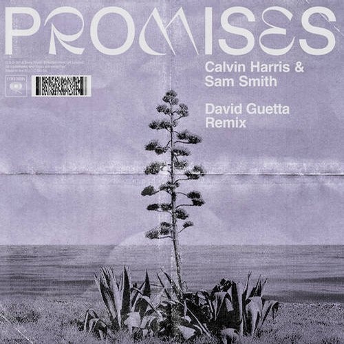 Calvin Harris & Sam Smith - Promises (David Guetta Remix) [ Progressive House ]