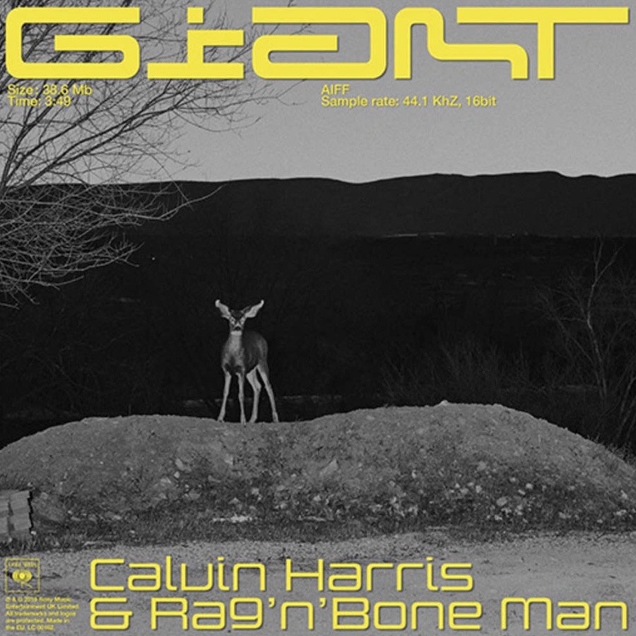 Calvin Harris - Giant (ft. Rag'n'Bone Man) [House]